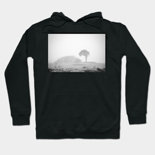 Lone pine in fog Hoodie